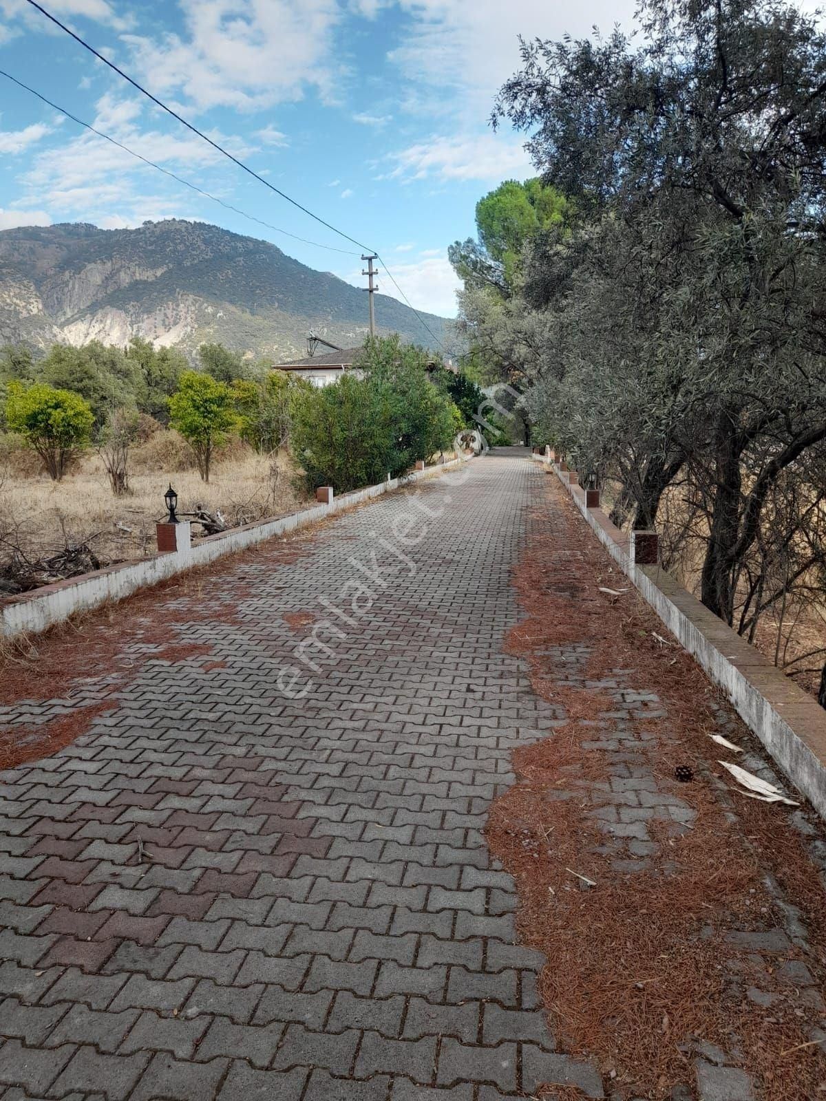 Köyceğiz Yangıda Satılık 9221 M2 Tarla