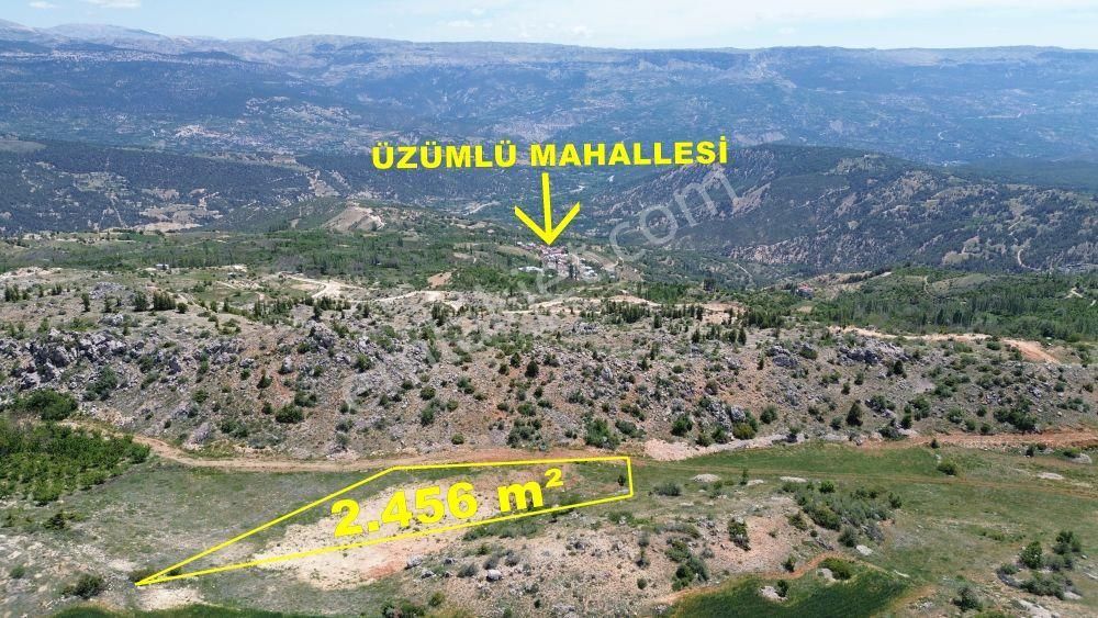 Karaman / Başyayla / Üzümlü Mahallesinde 2.456 M² Müstakil Tapulu Tarla