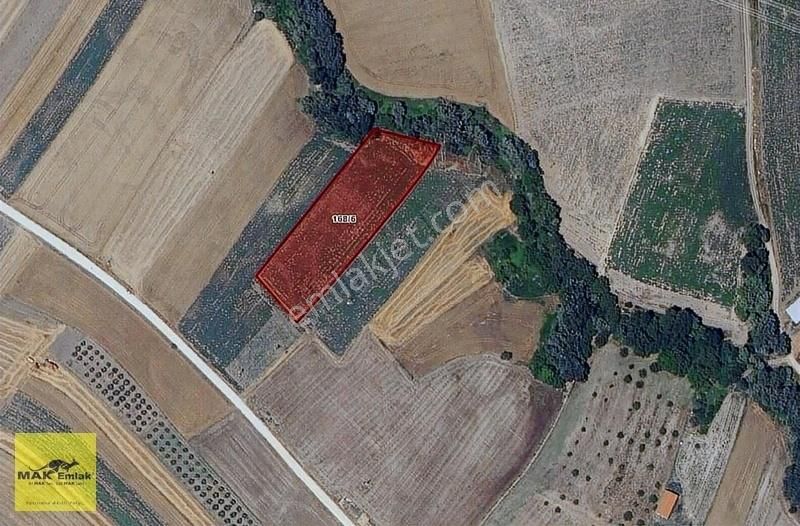 Külefli'de 6.145 M2 Köye Yakın Fırsat Satılık Arazi S2747