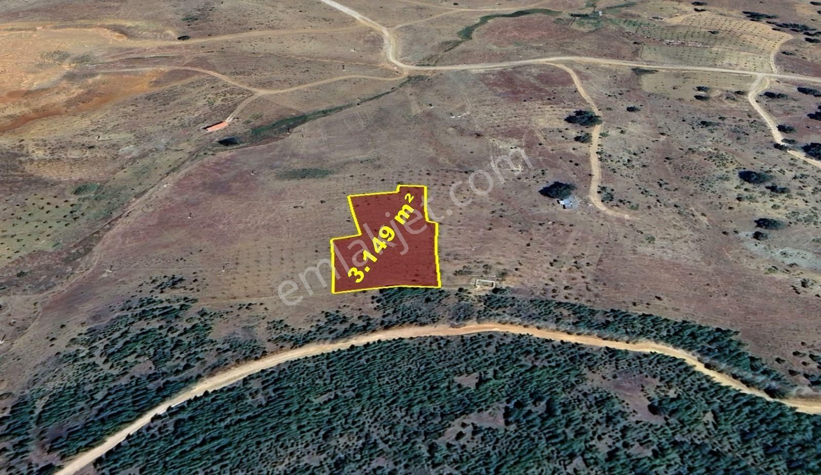 Konya / Hadim / Göynükkışla Mahallesinde 3.149 M² Müstakil Tapulu Tarla