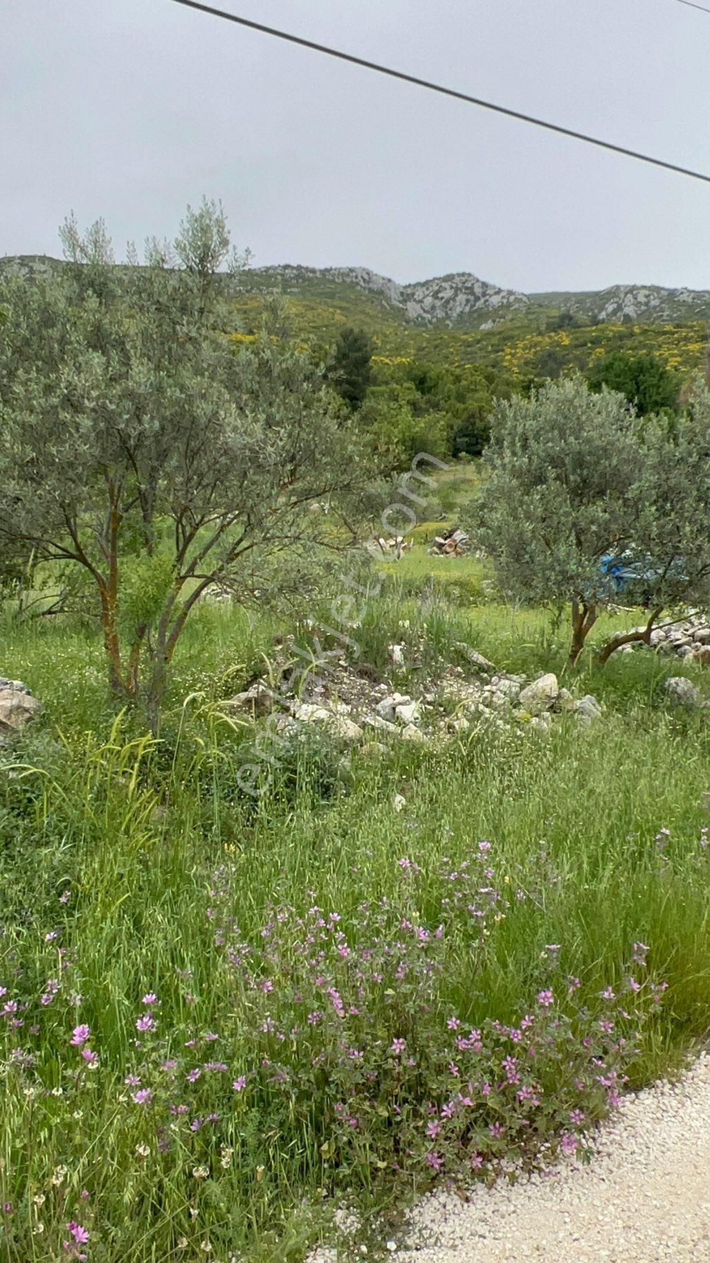 Kaş Hacıoğlan Da