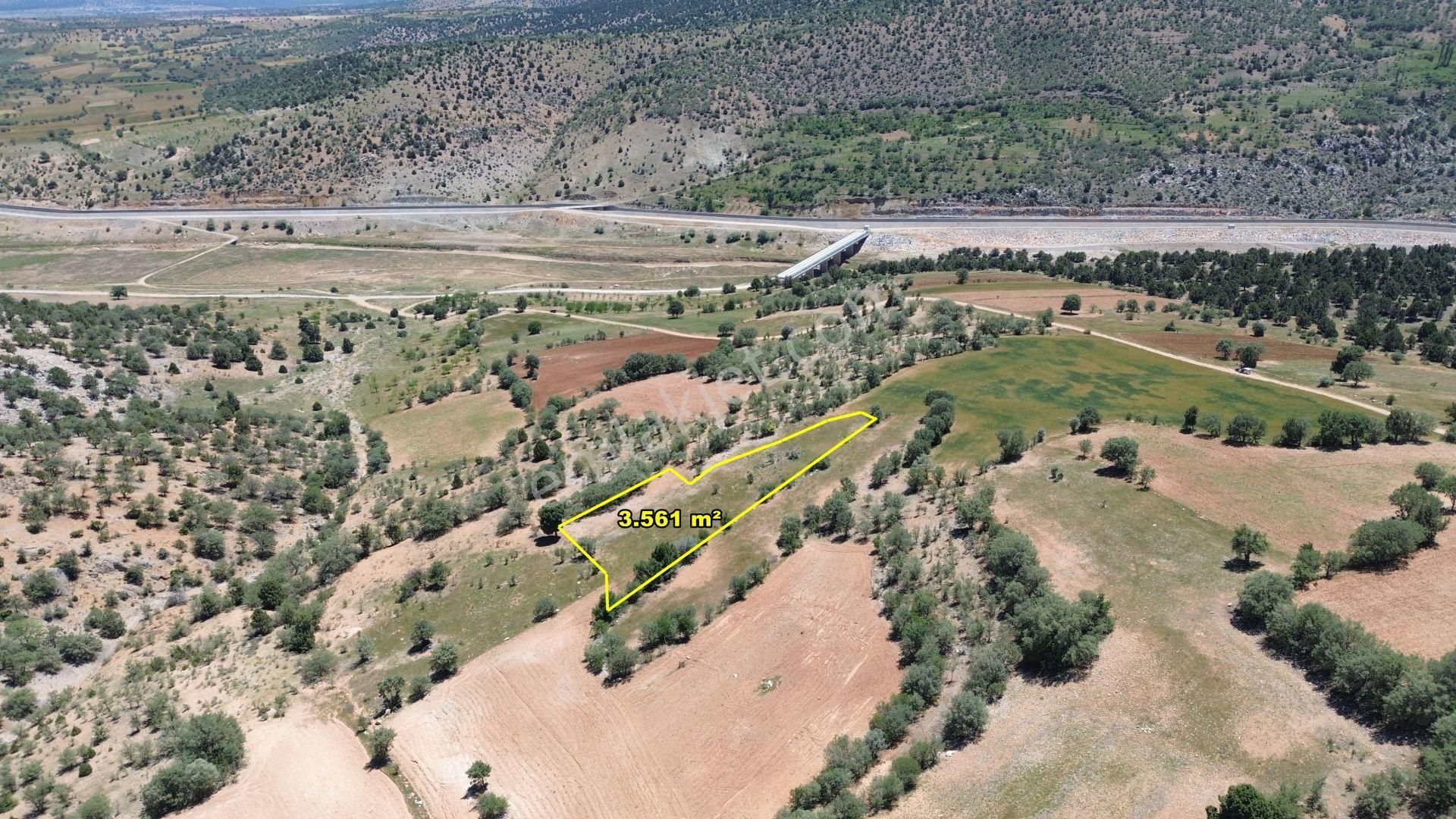 Konya / Akören / Belkuyu Mahallesinde 3.561 M² Müstakil Tapulu Tarla