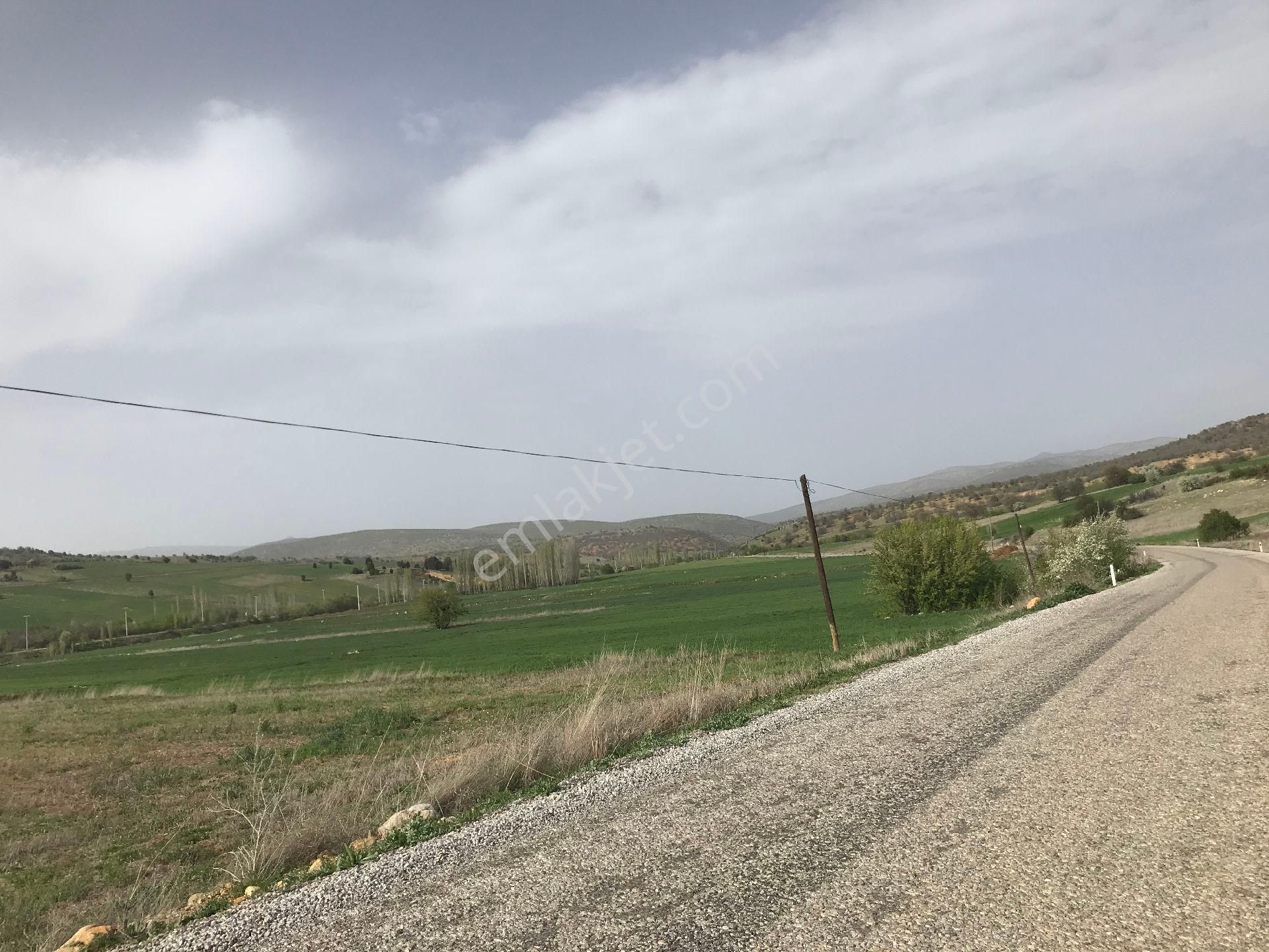 Komisyonsuz Sulu Tarla
