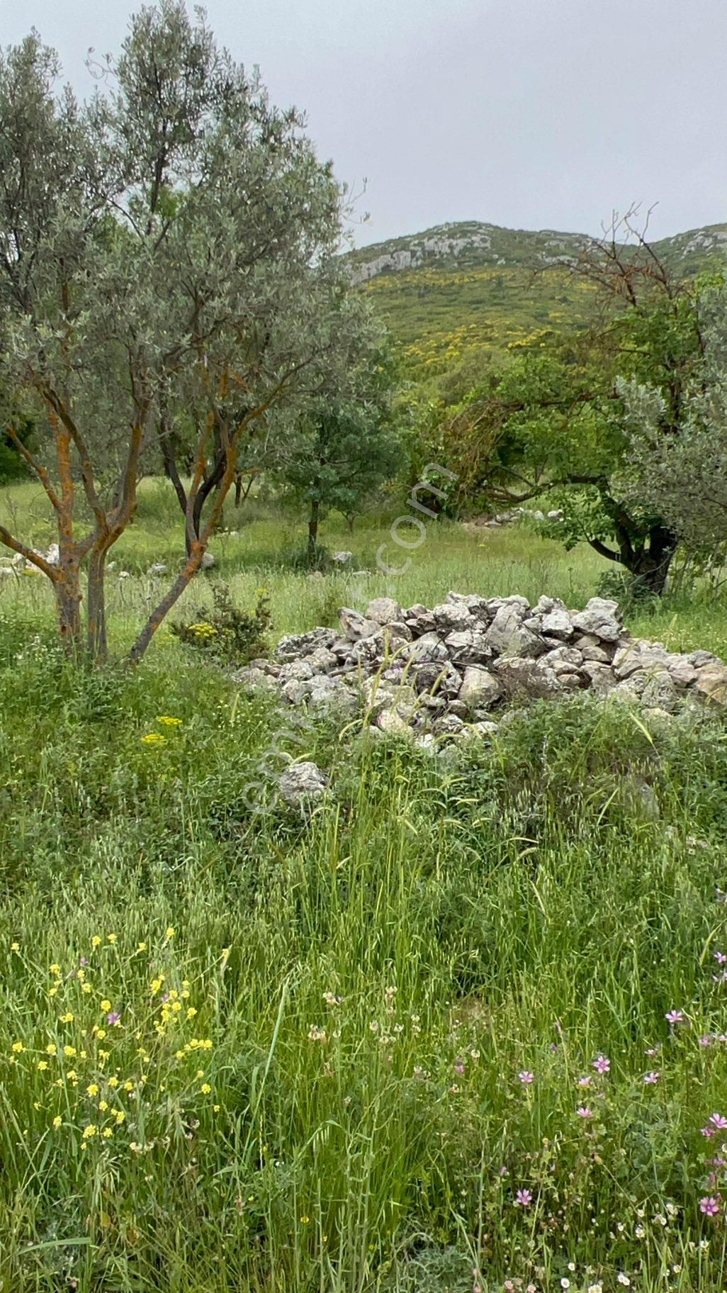 Kalkan Hacıoğlan Da