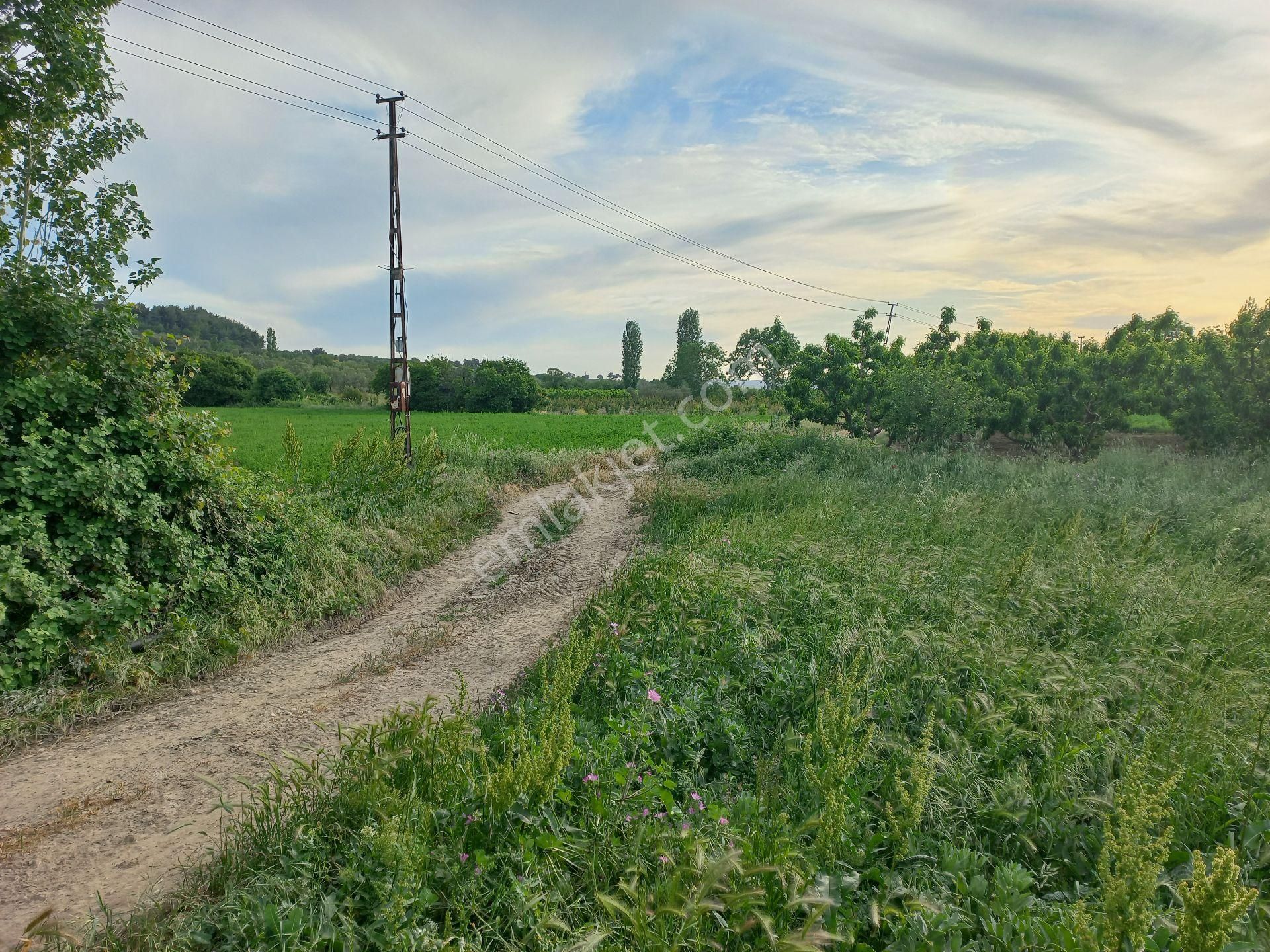 Muhteşem Konumda Yol Su Elektrık Mevcut 3.127m2