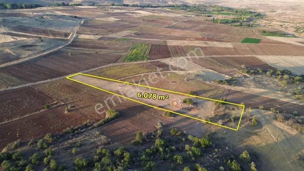Akören Tülce De 6.078 M2 Müstakil Tapulu Tarla