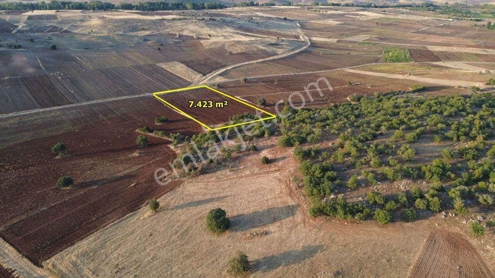 Akören Tülce De 7.423 M2 Müstakil Tapulu Tarla