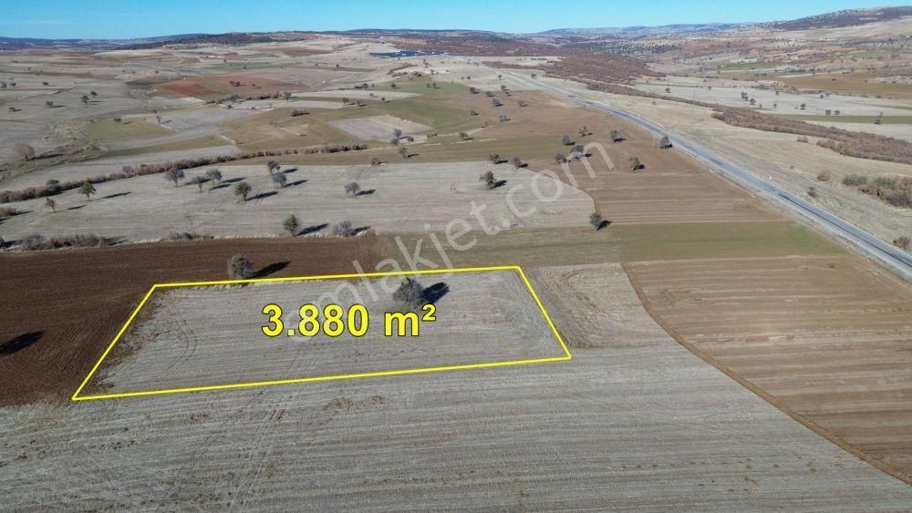 Konya Beyşehir Yenidoğan 3.880 M2 Müstakil Tapulu Tarla