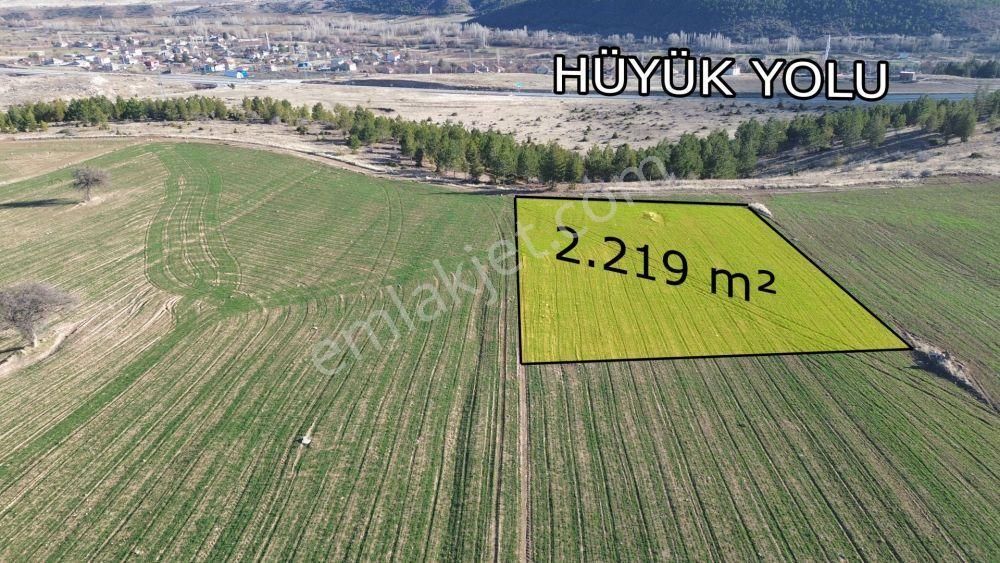 Beyşehir Yenidoğanda 2.219 M2 Müstakil Tapulu Arazi