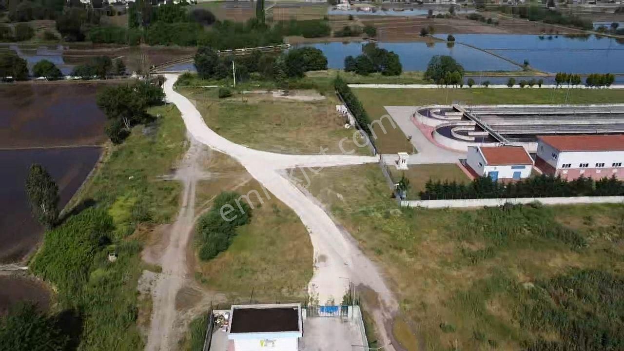 Balıkesir Gönen Kurtuluş Mah. Sarı Toprak Çeltik Tarlası