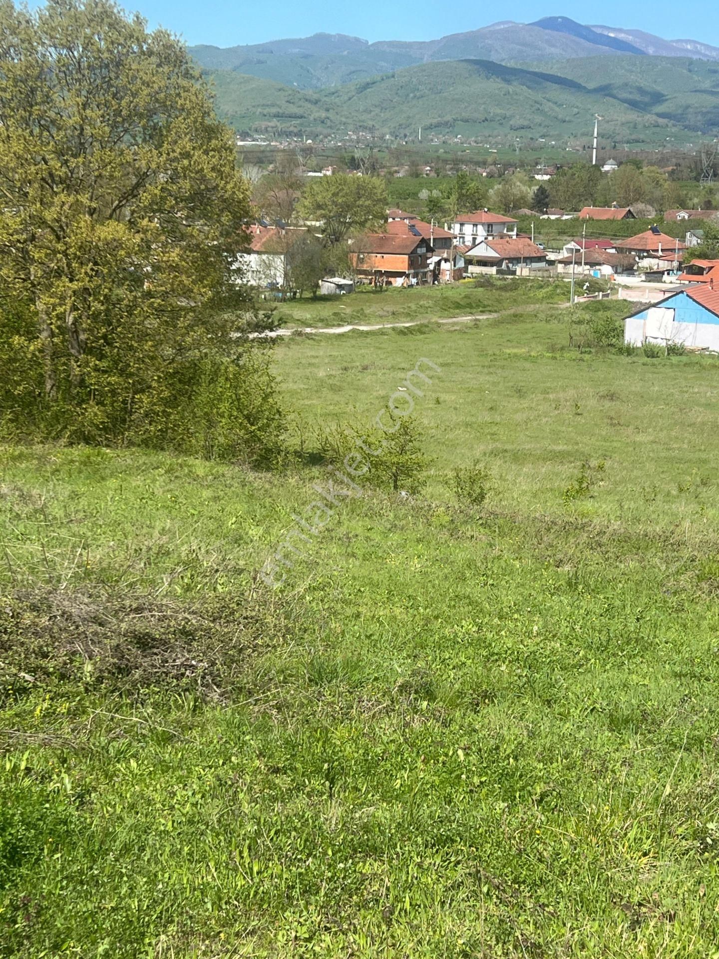 Gümüşova Organize Sanayi Dibinde Yatırımlık Fırsat Arsa - Görsel 2