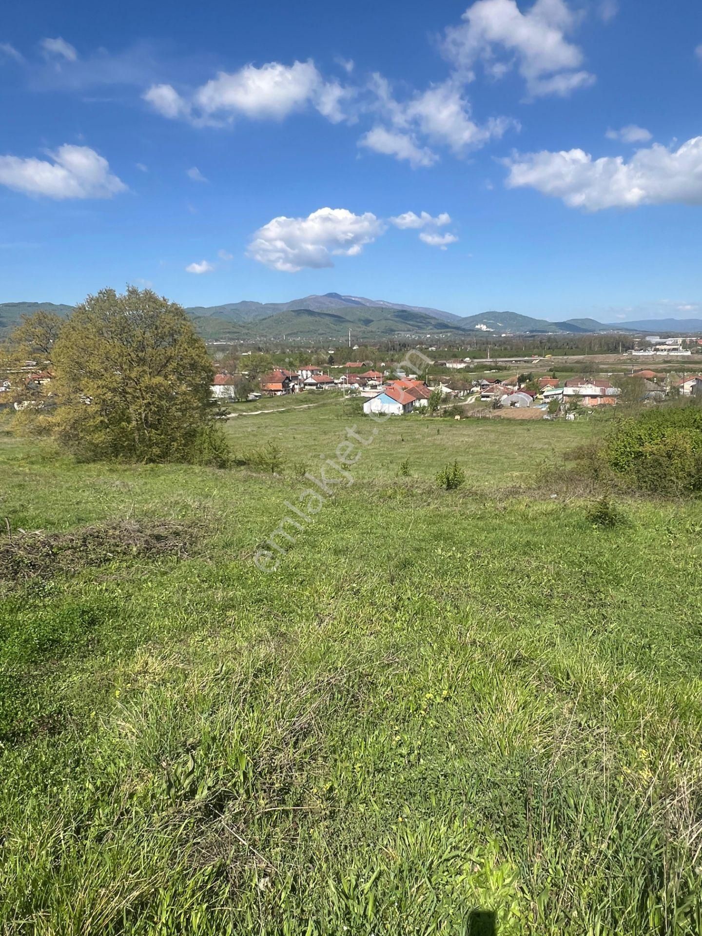 Gümüşova Organize Sanayi Dibinde Yatırımlık Fırsat Arsa - Görsel 4