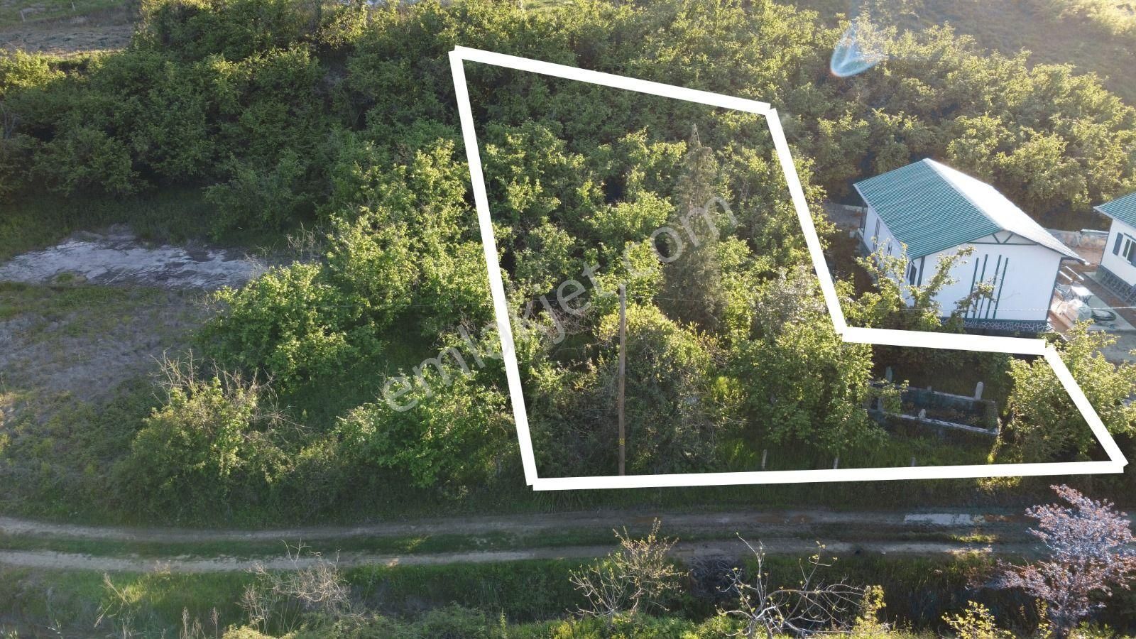 Sakarya Kocaali Kozluk Mahallesi'nde Satılık Arsa