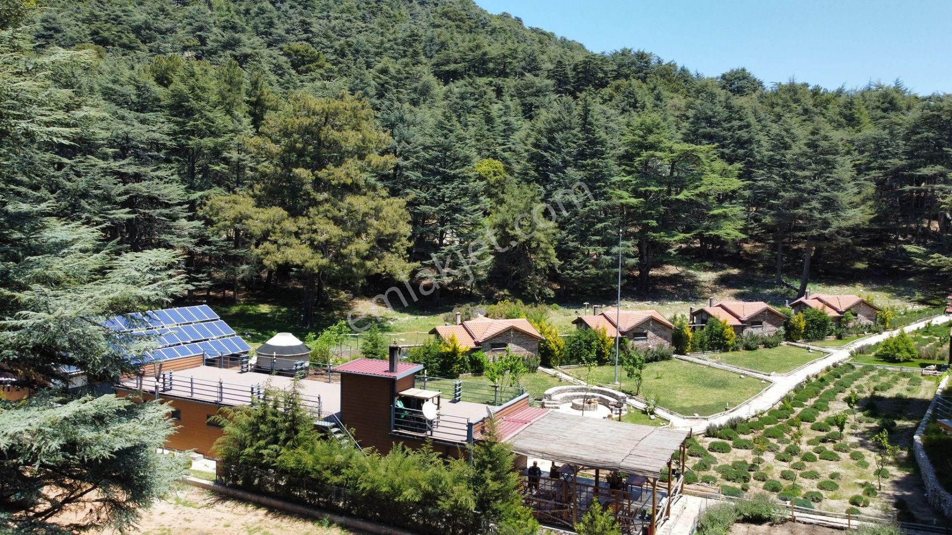 Fethiye Babadağ’da, 1300 Metre Rakımda, Doğanın Kalbinde İzole Konumda Yatırımlık Taş Yapılar Ve Tes