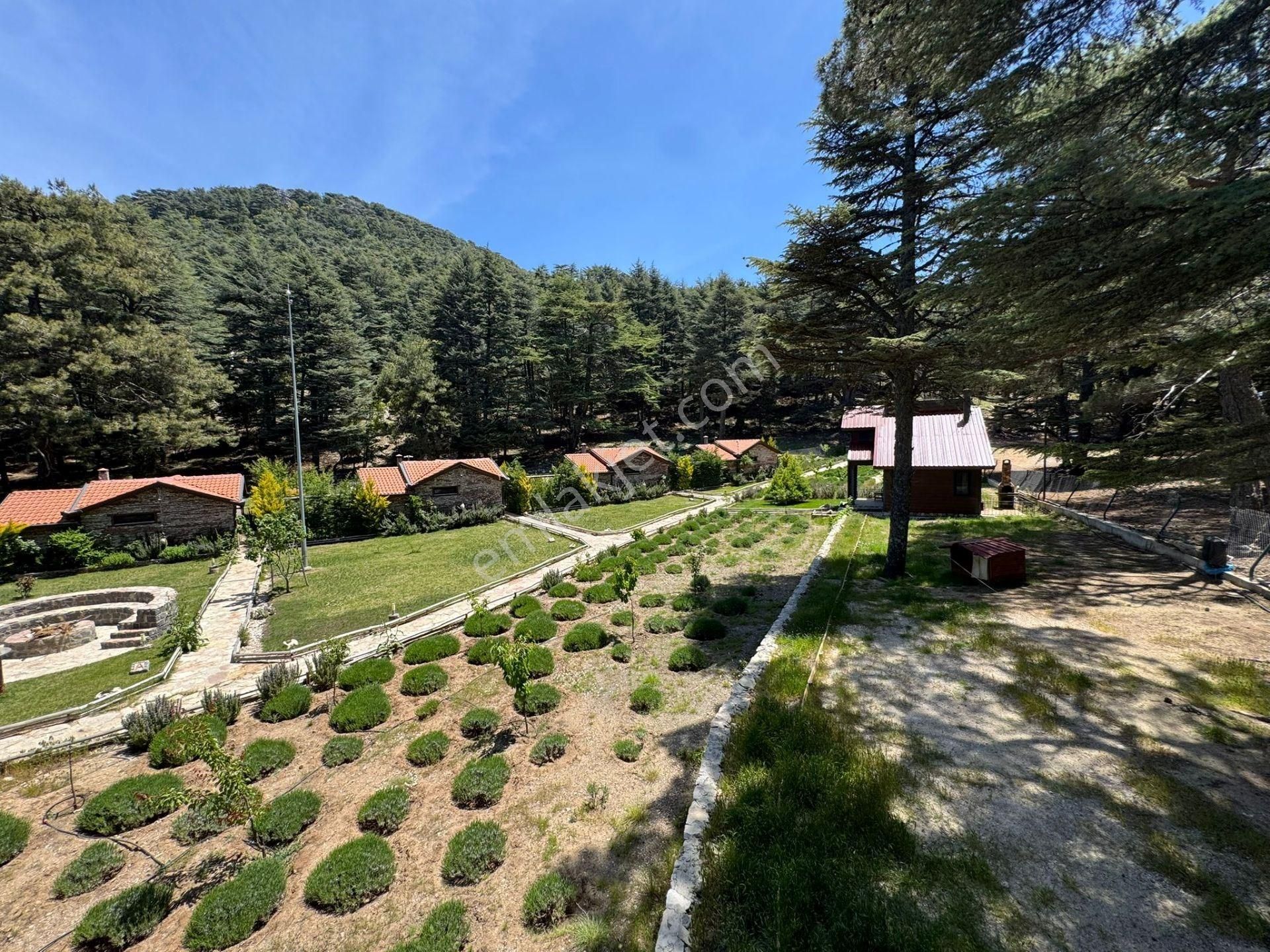 Fethiye Babadağ’da, 1300 Metre Rakımda, Doğanın Kalbinde İzole Konumda Yatırımlık Taş Yapılar Ve Tes