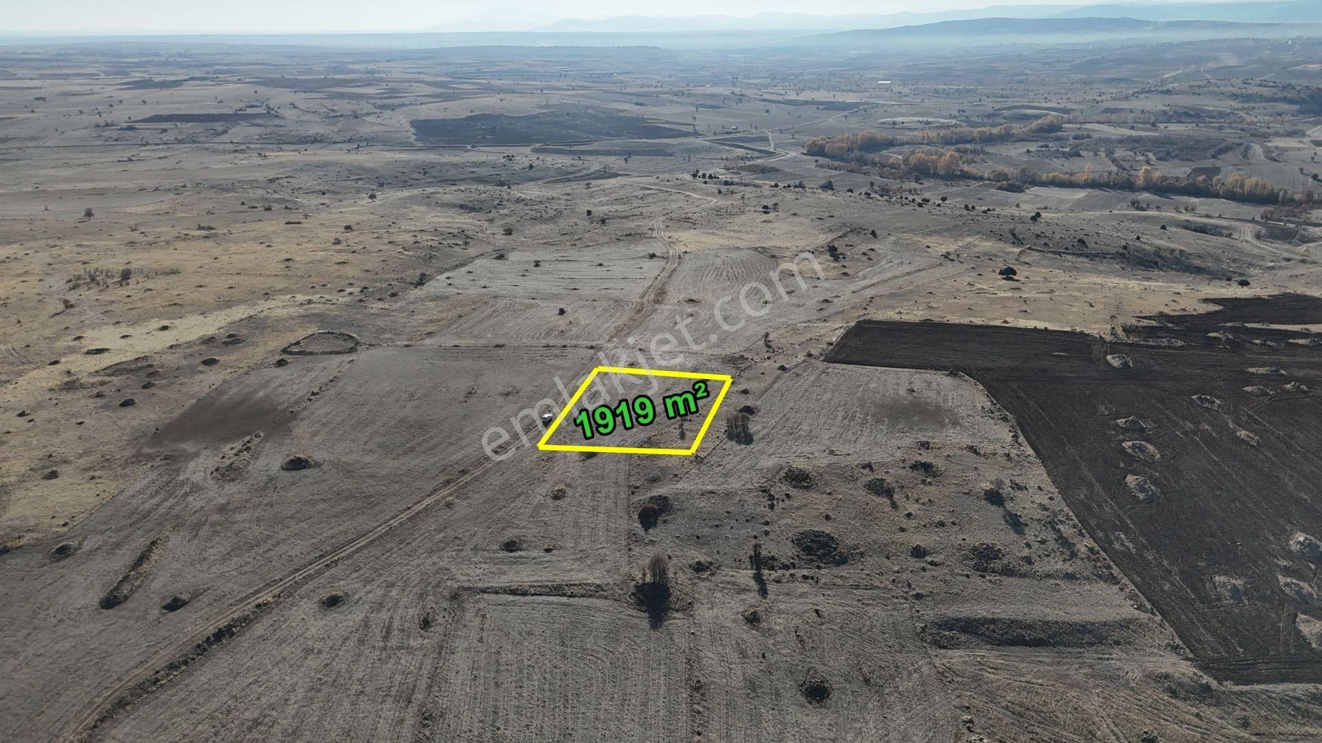 Konya / Akören / Tülce Mahallesinde 1.919 M² Müstakil Tapulu Tarla