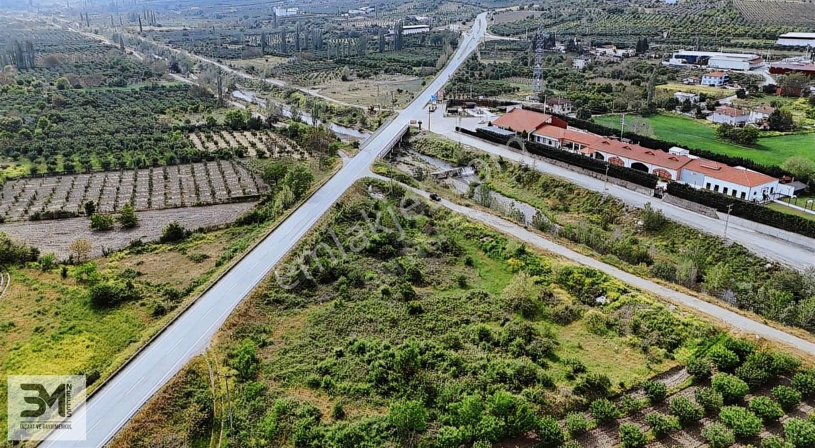 Geyve Eşme Asfalta Sıfır 843 M2 Bağ Nitelik Düz Fırsat Arsa - Görsel 9