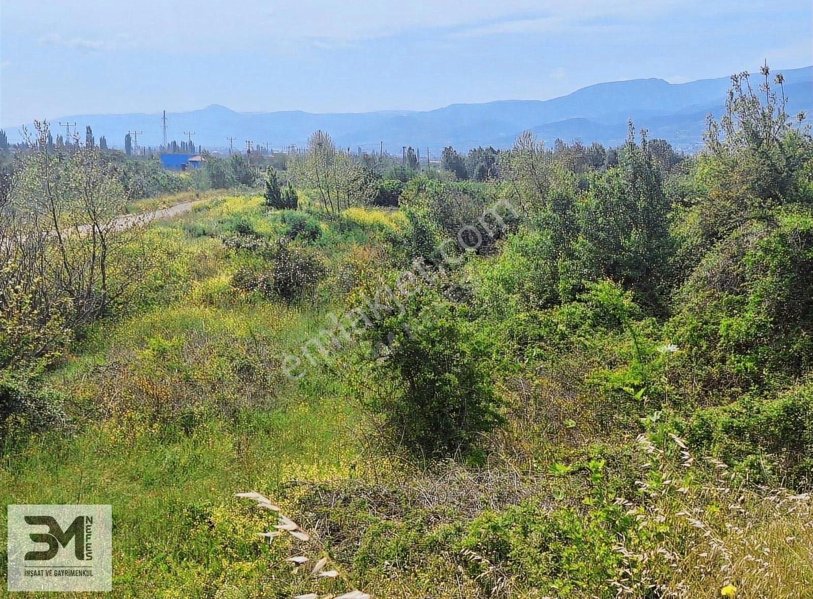 Geyve Eşme Asfalta Sıfır 843 M2 Bağ Nitelik Düz Fırsat Arsa - Görsel 20
