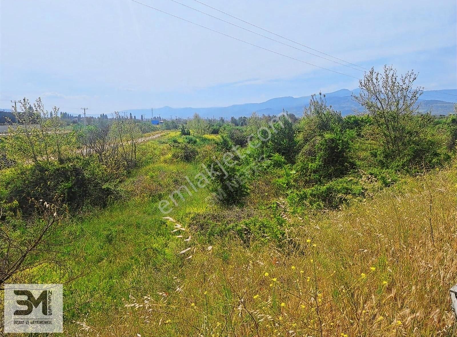 Geyve Eşme Asfalta Sıfır 843 M2 Bağ Nitelik Düz Fırsat Arsa - Görsel 7