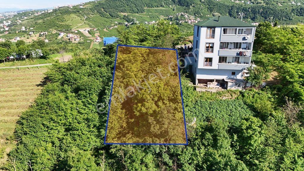 Abdi Bostan Gayrimenkulden Akçaabat Kayalar Mah Satılık Arsa - Görsel 7