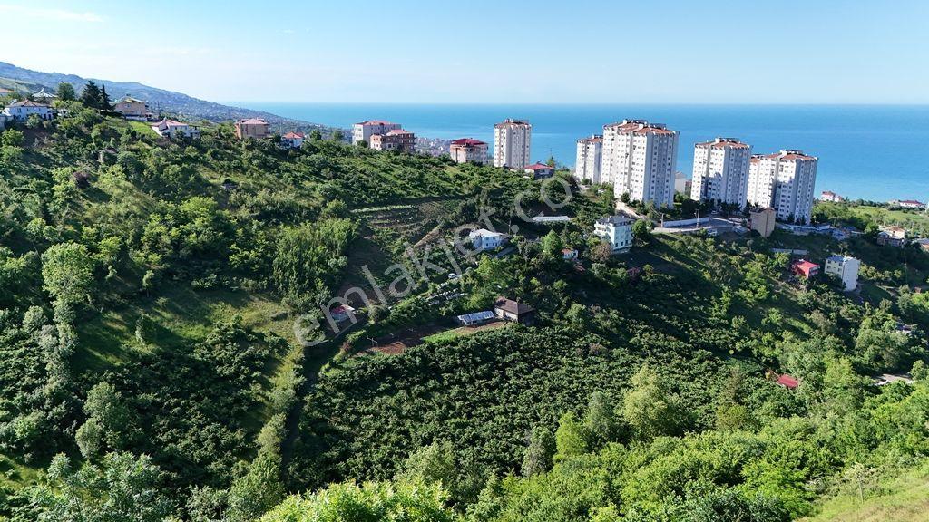 Abdi Bostan Gayrimenkulden Akçaabat Kayalar Mah Satılık Arsa - Görsel 15