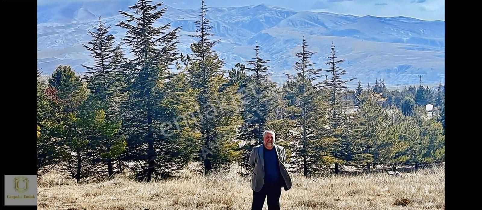 Ankara Ayaş Trtciler Sitesinde Satılık 3000 Metre Villa Arsası