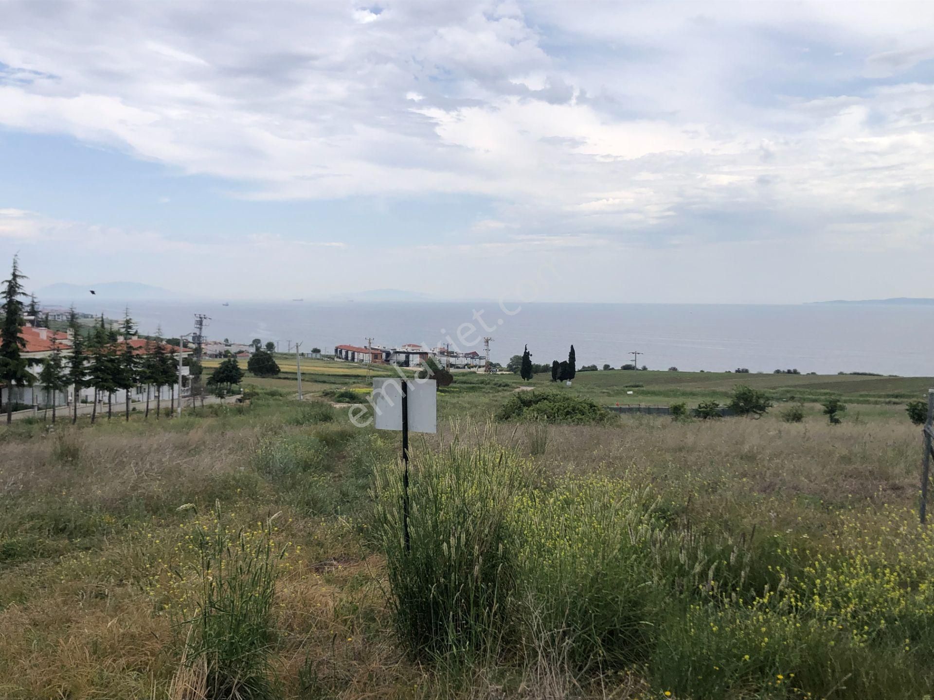 Şarköy De Işık Emlaktan İstiklal Mah De 218 M2 0/25 İmarlı Arsa