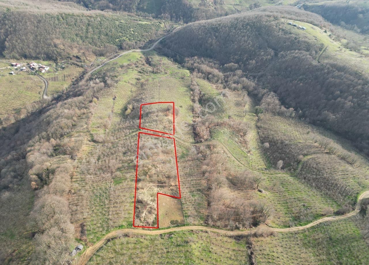 Çamlısu Köyü'nde 9383 M2 Satılık Arsa