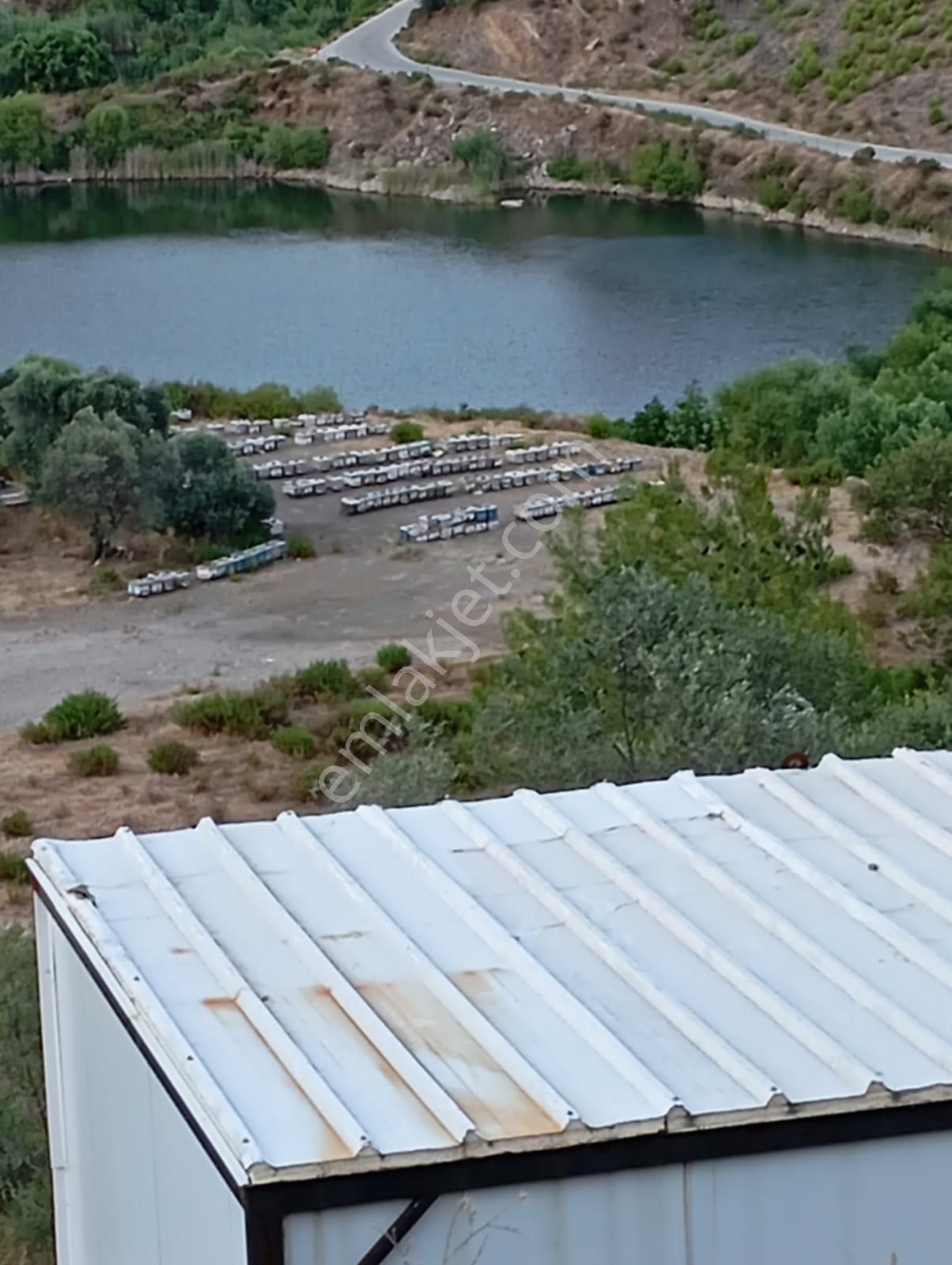 Satılık Zeytinlik Bayındır 750 M2