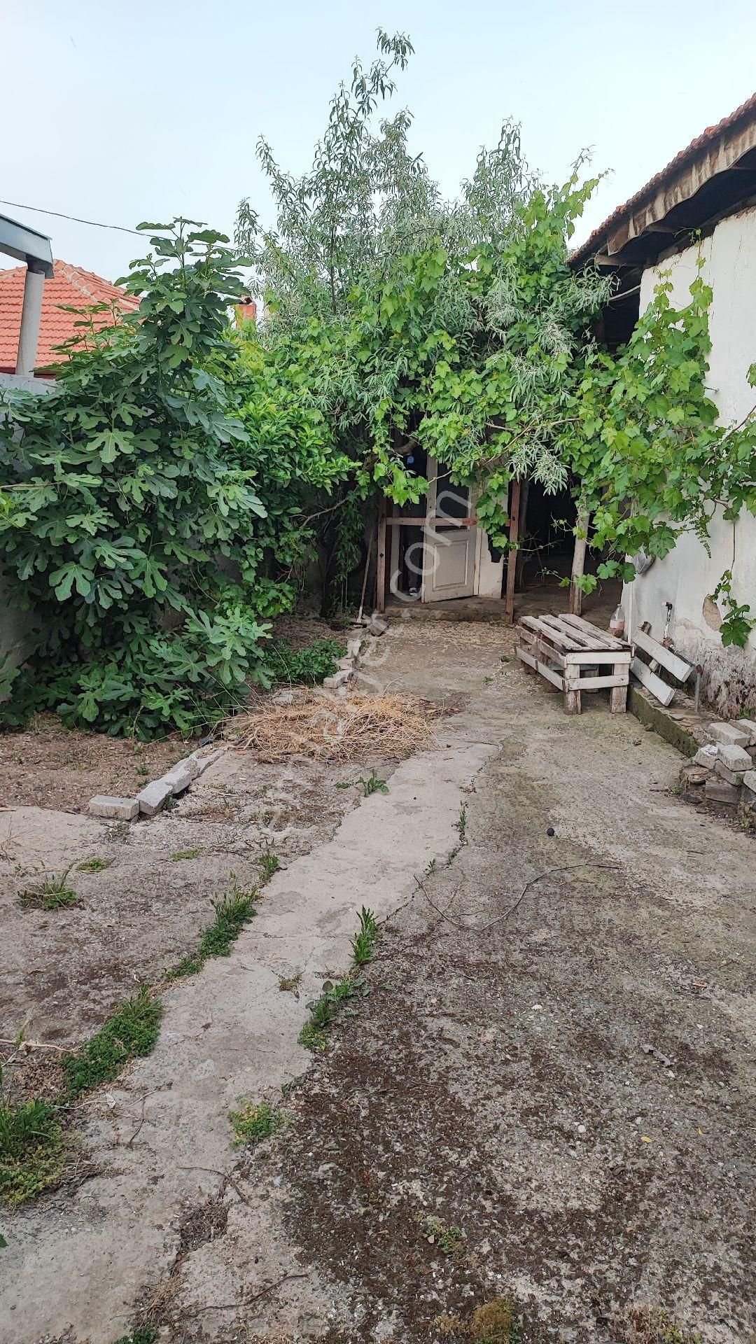 İzmir Kemalpaşa Da Müstakil Köy Evi