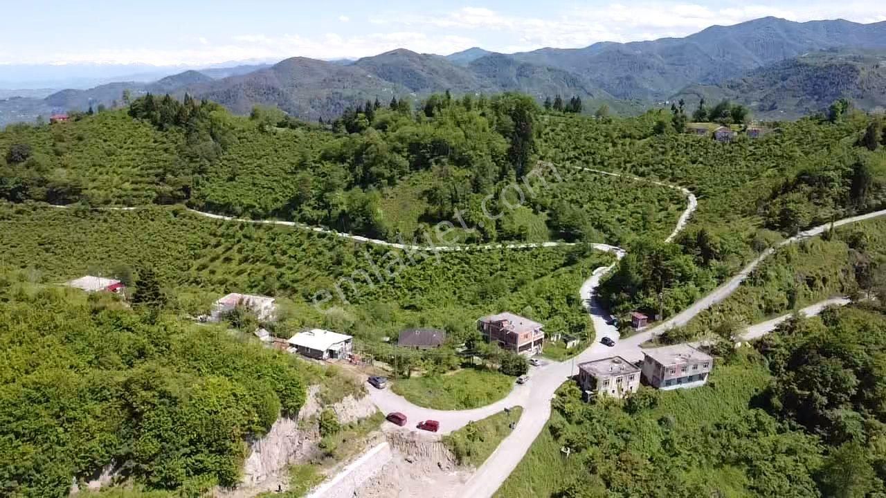 Trabzon Ortahisar Yeşilyurtta Satılık Arazi