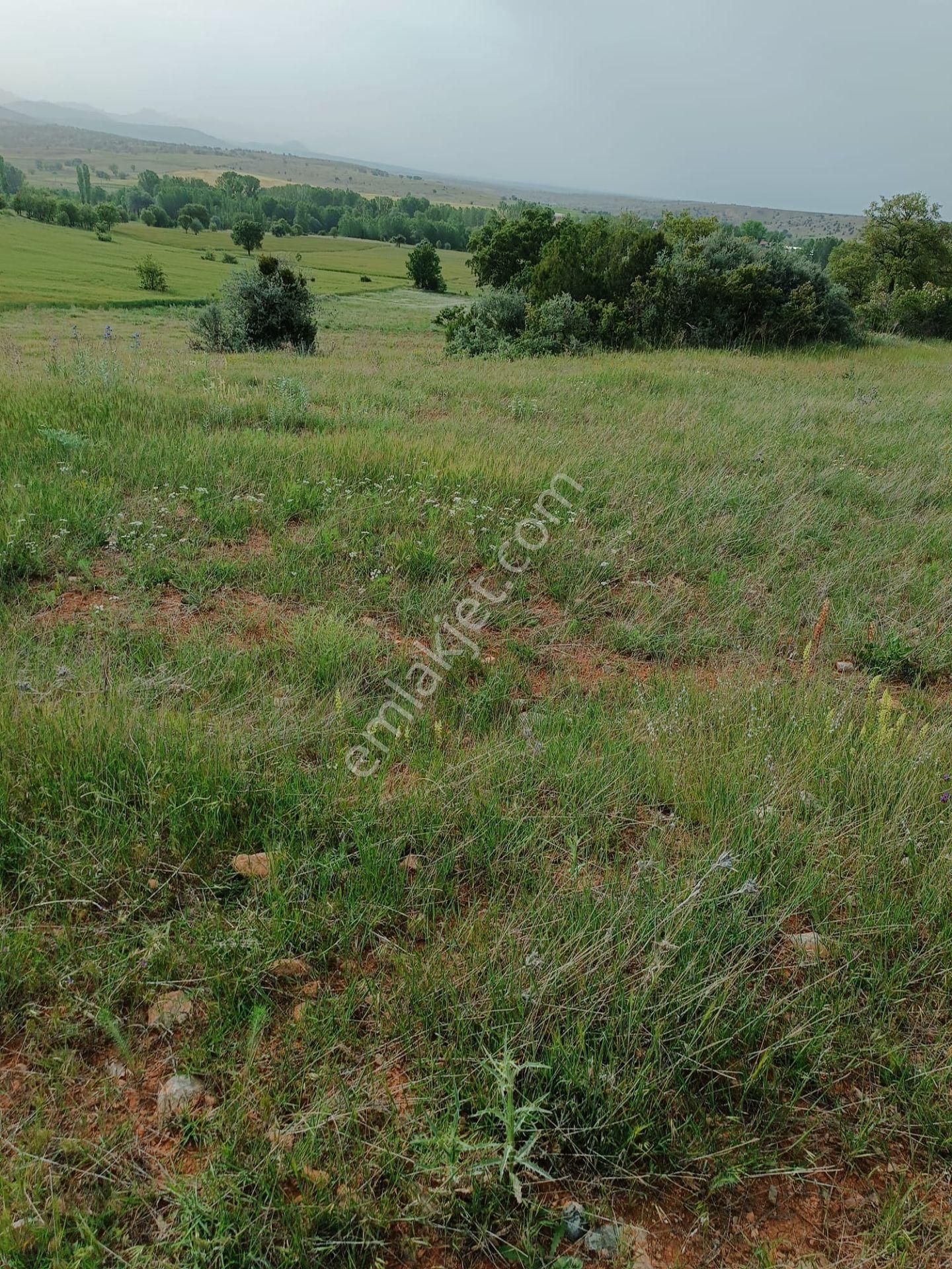 Akören Tülcede 3.550 M2 Yatırımlık Tarla