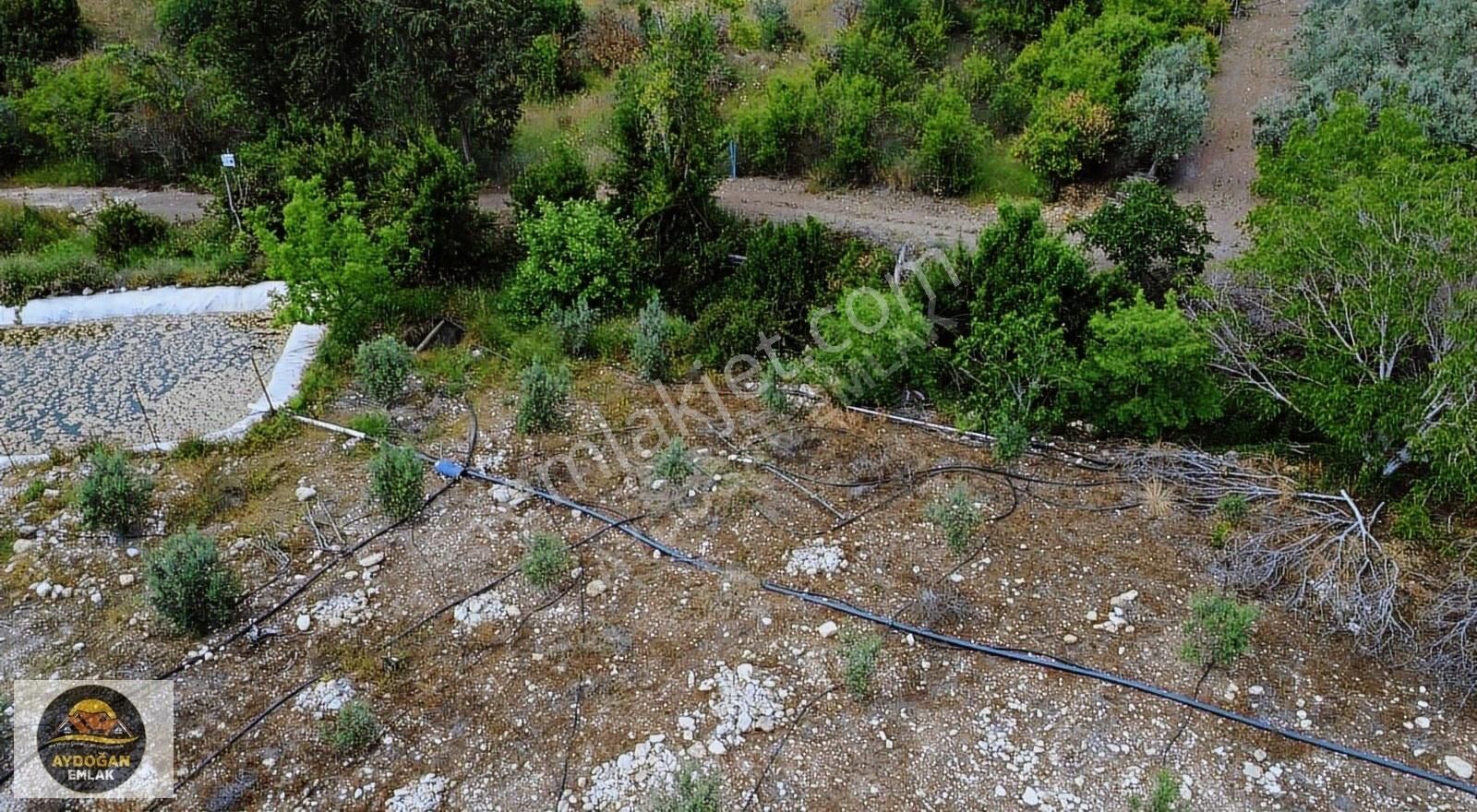 Aydoğan Emlak'tan Satılık Rızai Taksimli Arsa - Erentepe/kumluca - Görsel 21