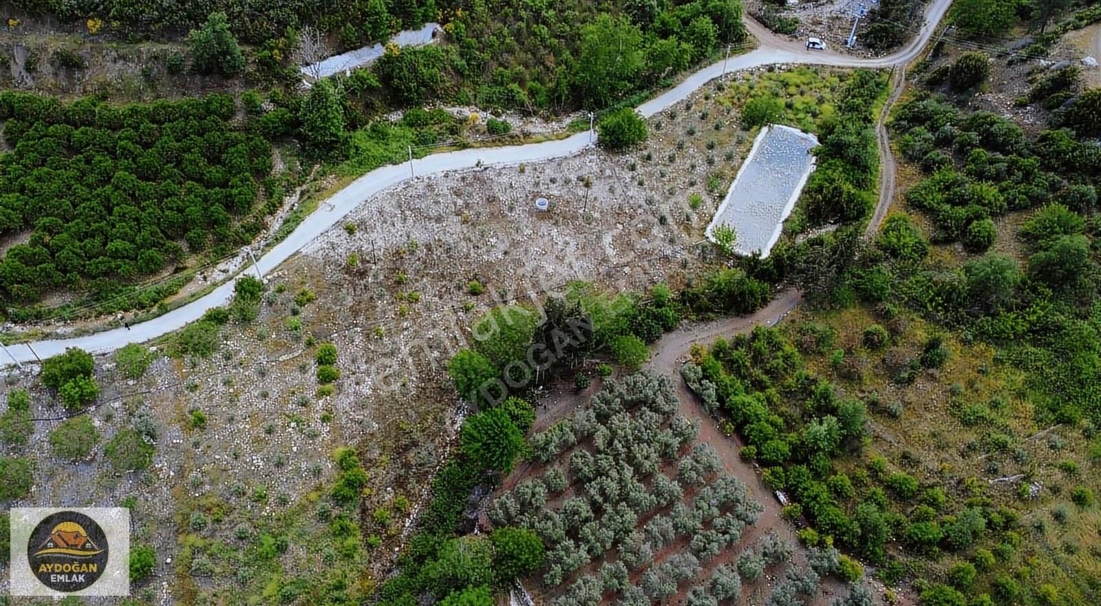 Aydoğan Emlak'tan Satılık Rızai Taksimli Arsa - Erentepe/kumluca - Görsel 6