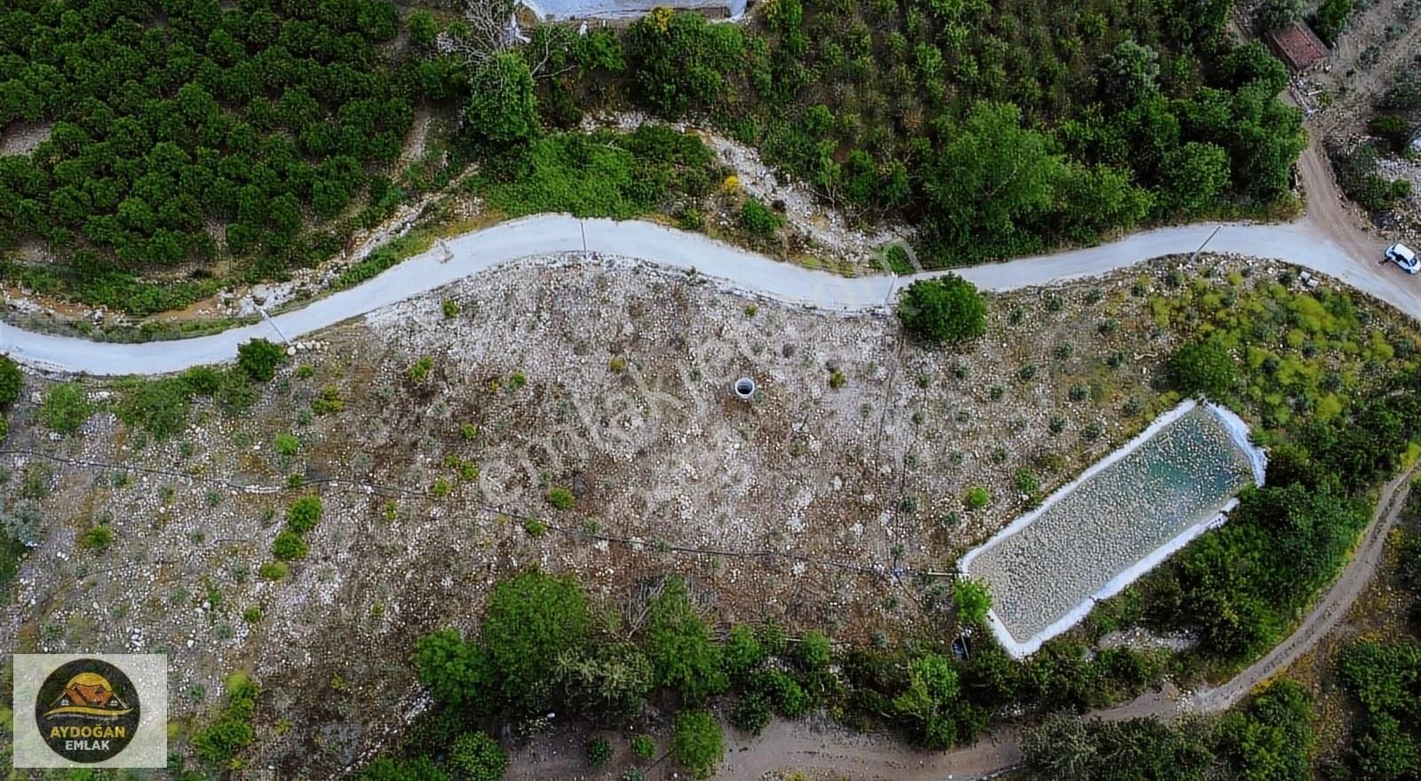 Aydoğan Emlak'tan Satılık Rızai Taksimli Arsa - Erentepe/kumluca - Görsel 11