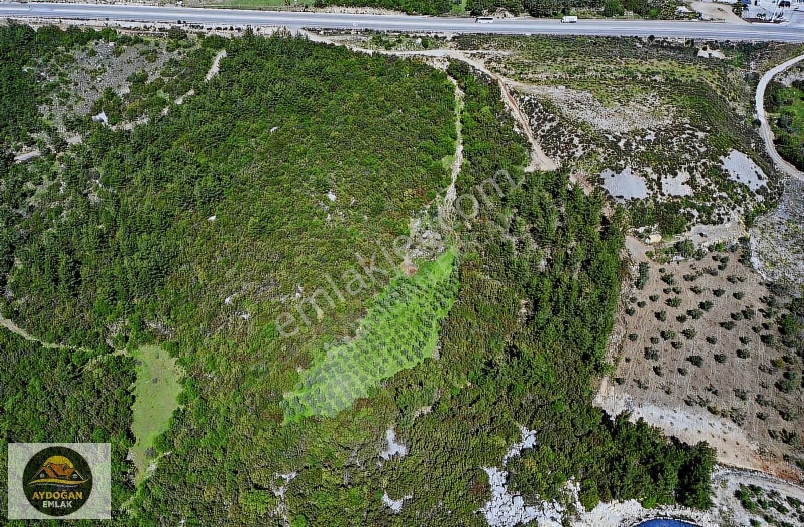 Aydoğan Emlak'tan Ana Yol Kenarı - Turizme Uygun Müstakil Arsa - Görsel 13