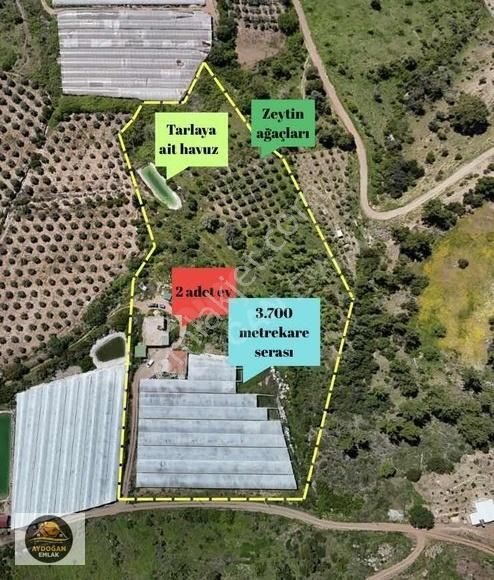 Aydoğan Emlak'tan Müstakil Tapu Tarla - Sera Ve 2 Adet Ev İle !! - Görsel 27