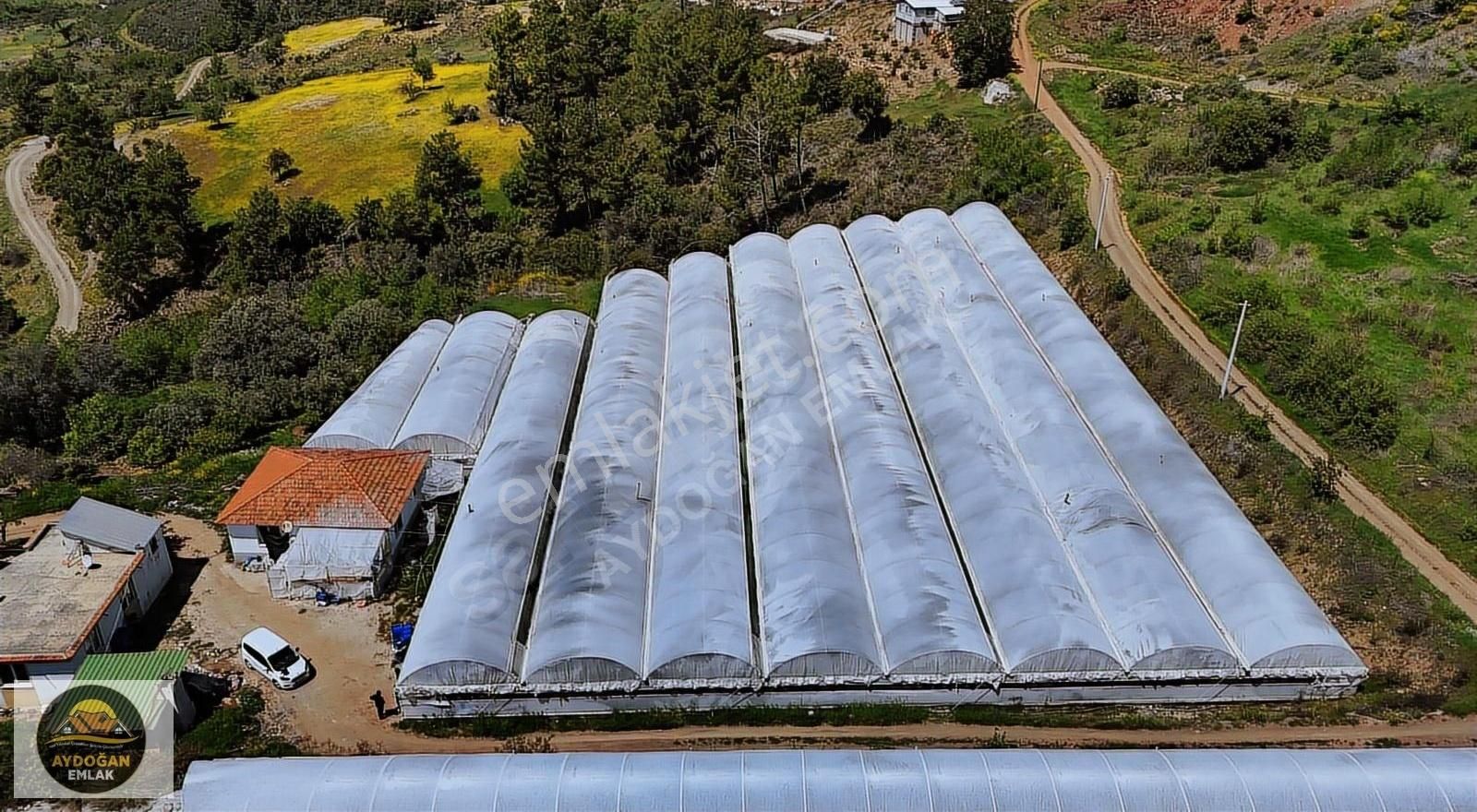 Aydoğan Emlak'tan Müstakil Tapu Tarla - Sera Ve 2 Adet Ev İle !! - Görsel 35