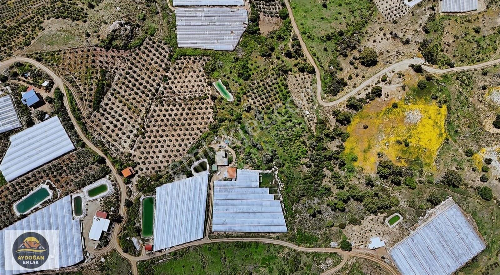 Aydoğan Emlak'tan Müstakil Tapu Tarla - Sera Ve 2 Adet Ev İle !! - Görsel 25