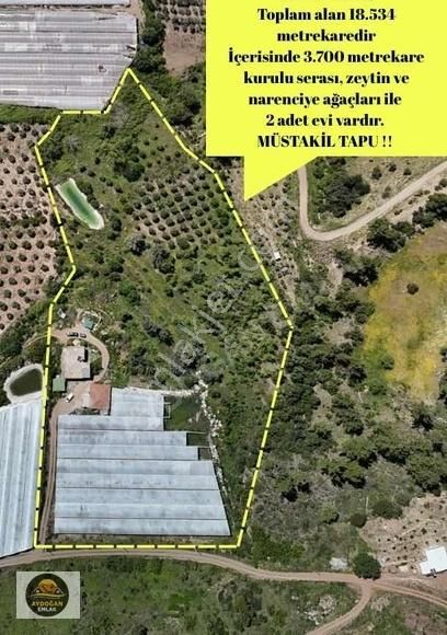 Aydoğan Emlak'tan Müstakil Tapu Tarla - Sera Ve 2 Adet Ev İle !! - Görsel 13