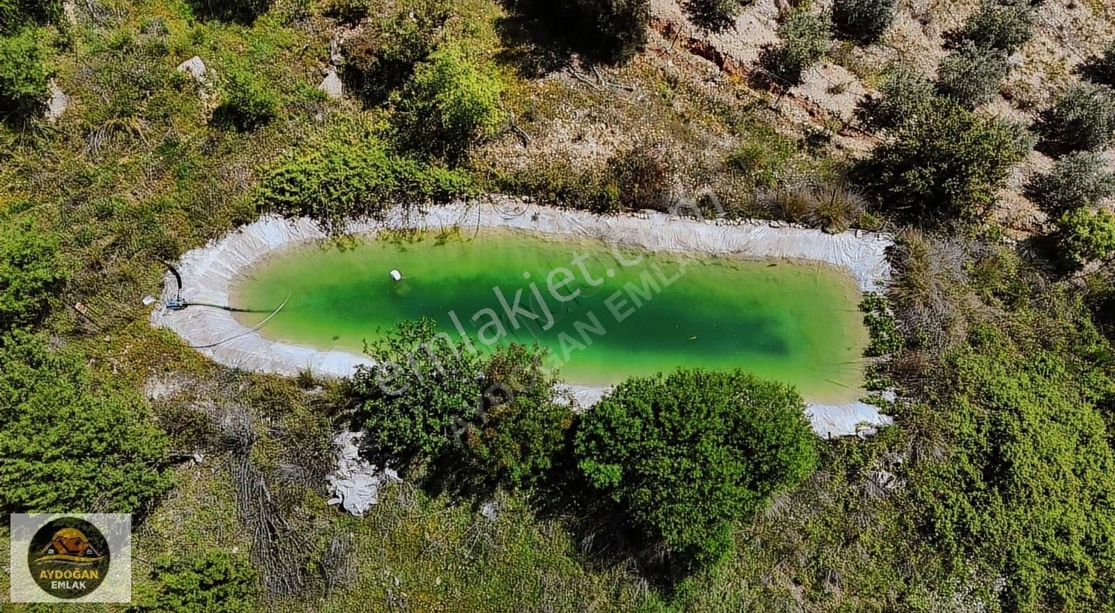 Aydoğan Emlak'tan Müstakil Tapu Tarla - Sera Ve 2 Adet Ev İle !! - Görsel 20