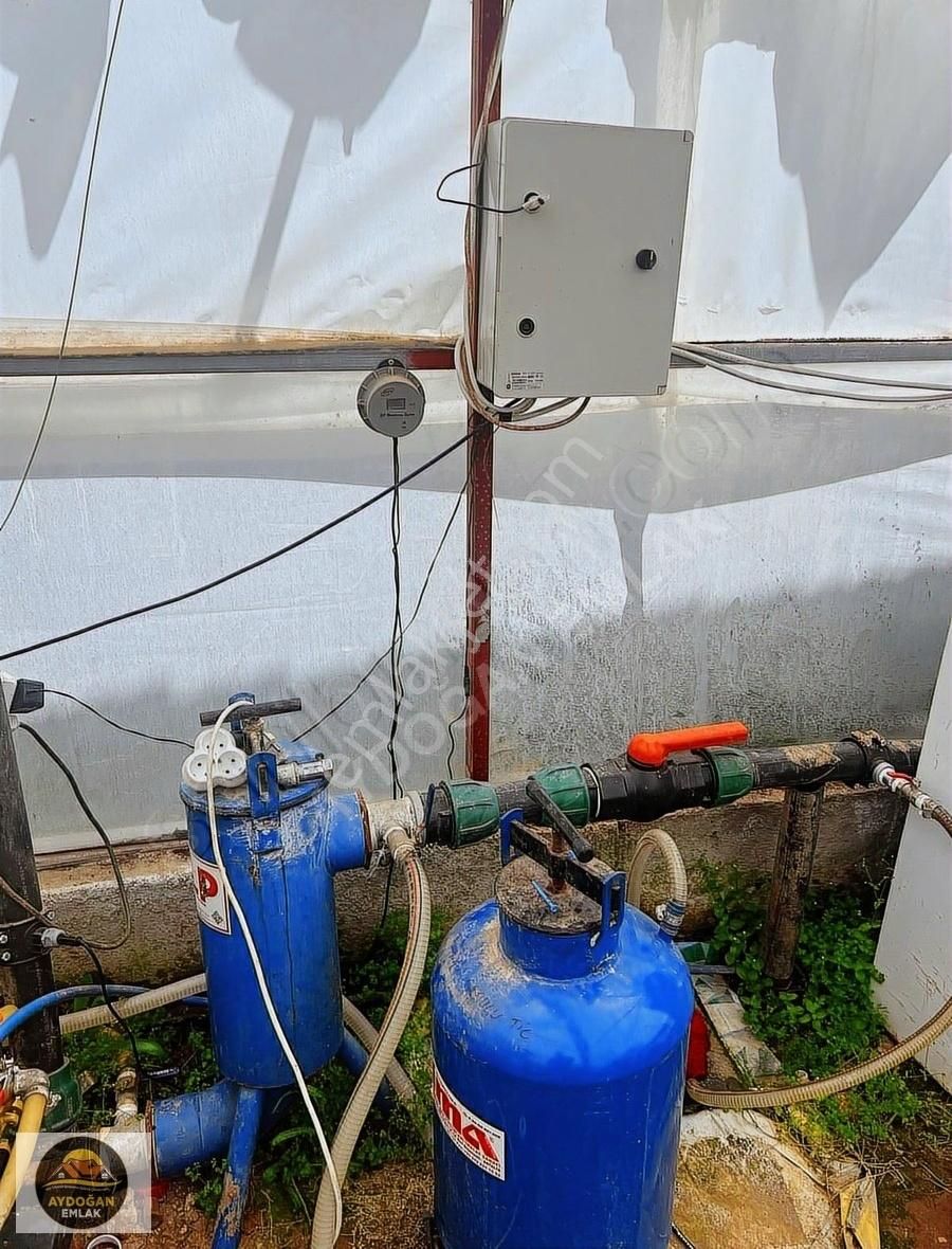 Aydoğan Emlak'tan Müstakil Tapu Tarla - Sera Ve 2 Adet Ev İle !! - Görsel 26