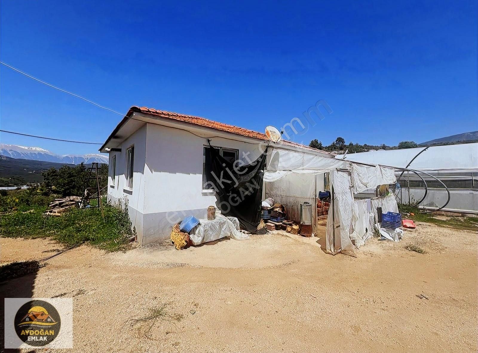 Aydoğan Emlak'tan Müstakil Tapu Tarla - Sera Ve 2 Adet Ev İle !! - Görsel 7