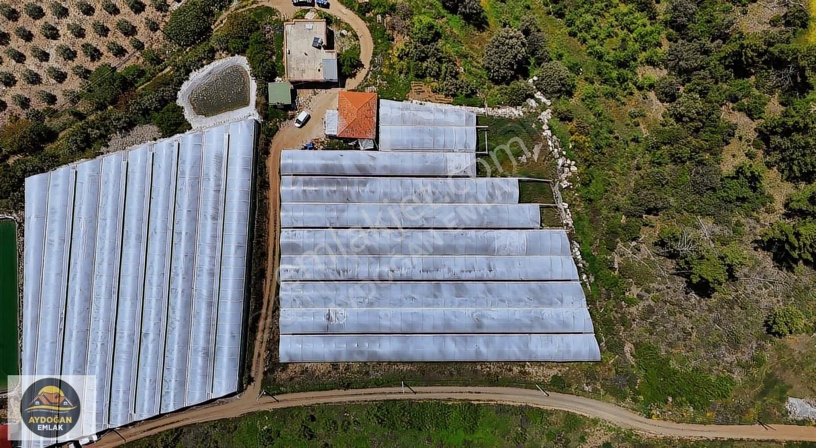 Aydoğan Emlak'tan Müstakil Tapu Tarla - Sera Ve 2 Adet Ev İle !! - Görsel 32