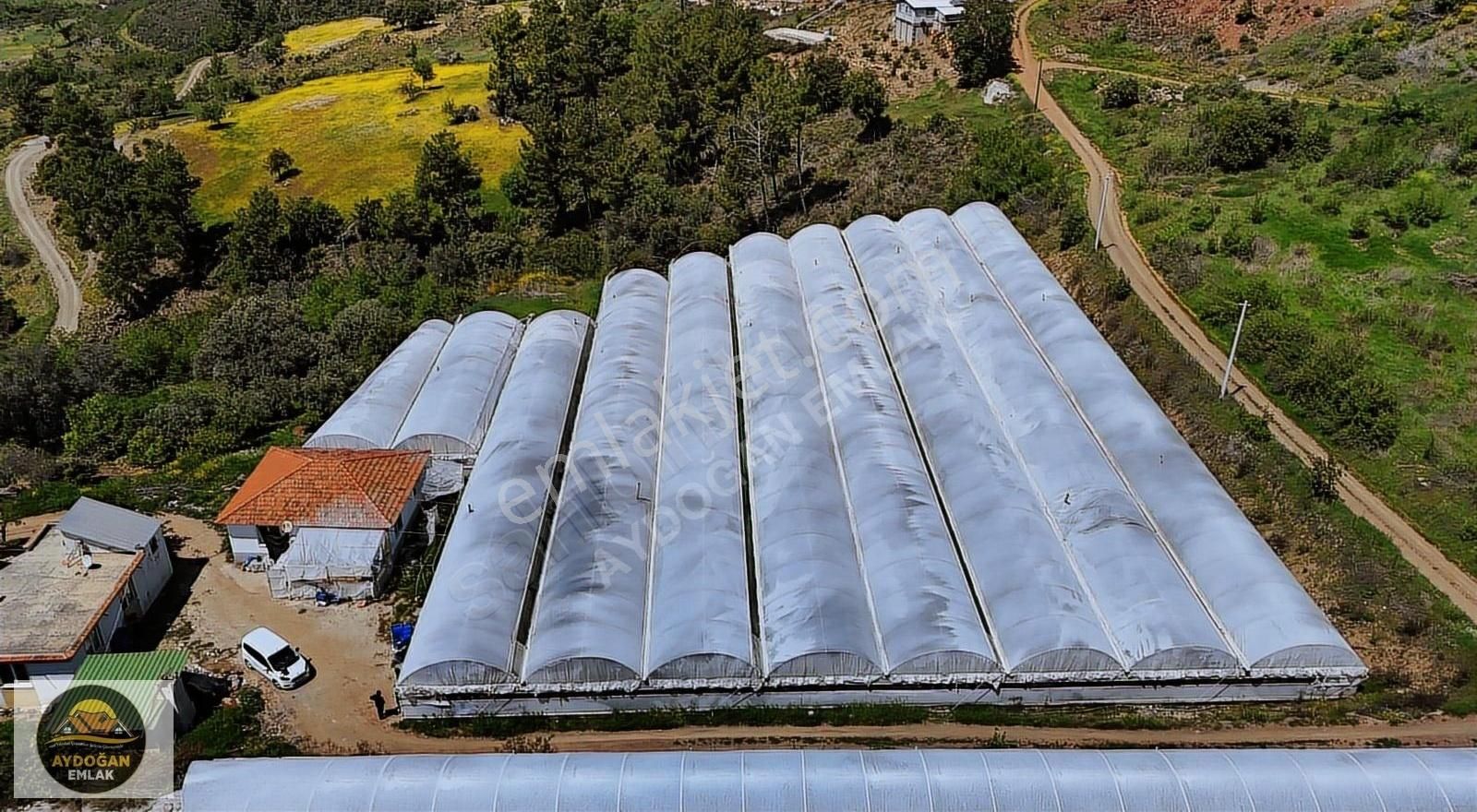 Aydoğan Emlak'tan Müstakil Tapu Tarla - Sera Ve 2 Adet Ev İle !! - Görsel 31