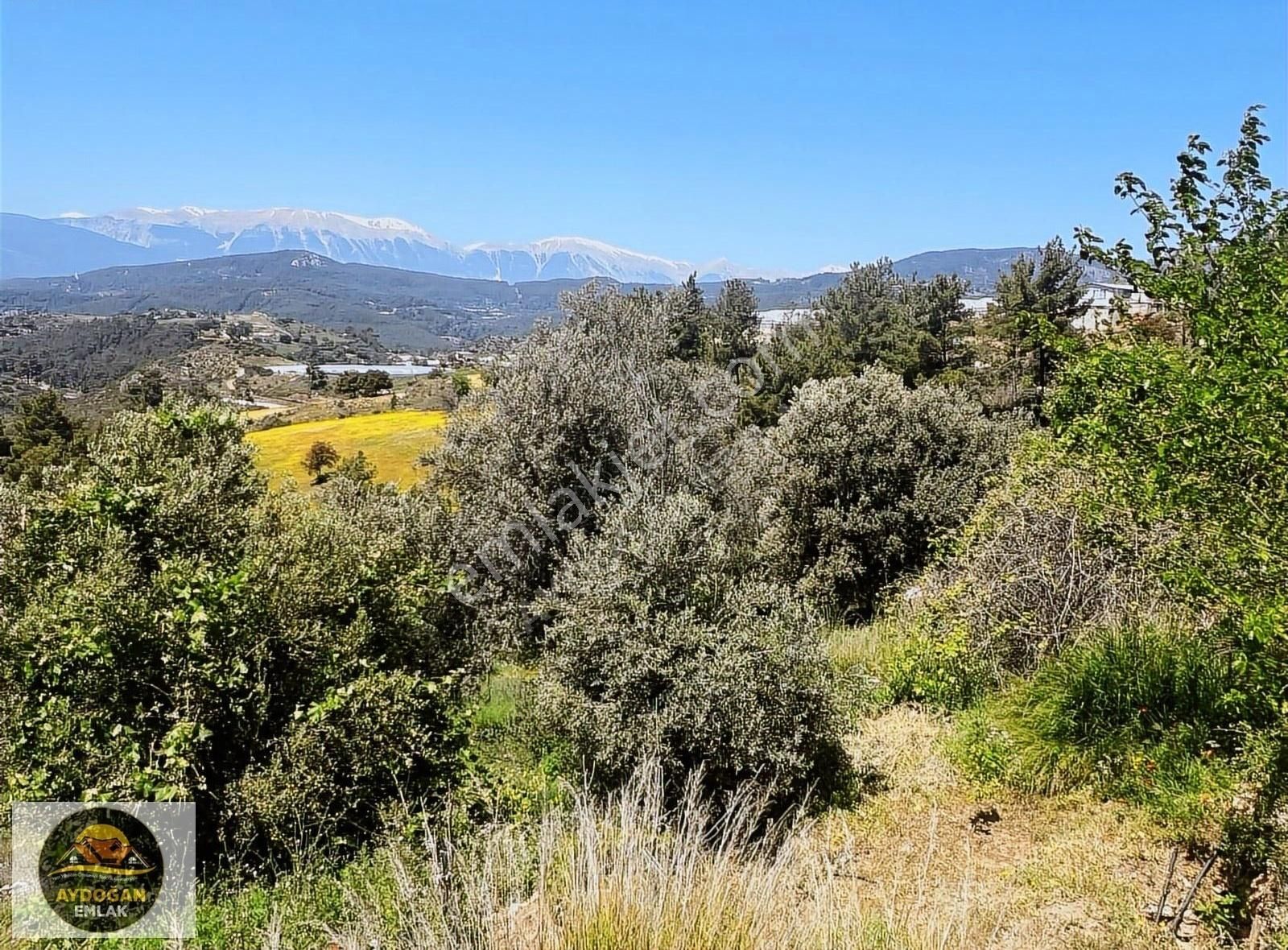 Aydoğan Emlak'tan Müstakil Tapu Tarla - Sera Ve 2 Adet Ev İle !! - Görsel 4