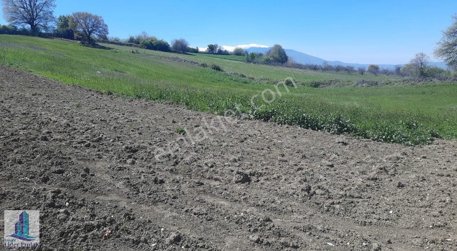 İnegöl Ortaköy Mh 1650 M2 Satılık Tarla Yolu Suyu Mevcuttur