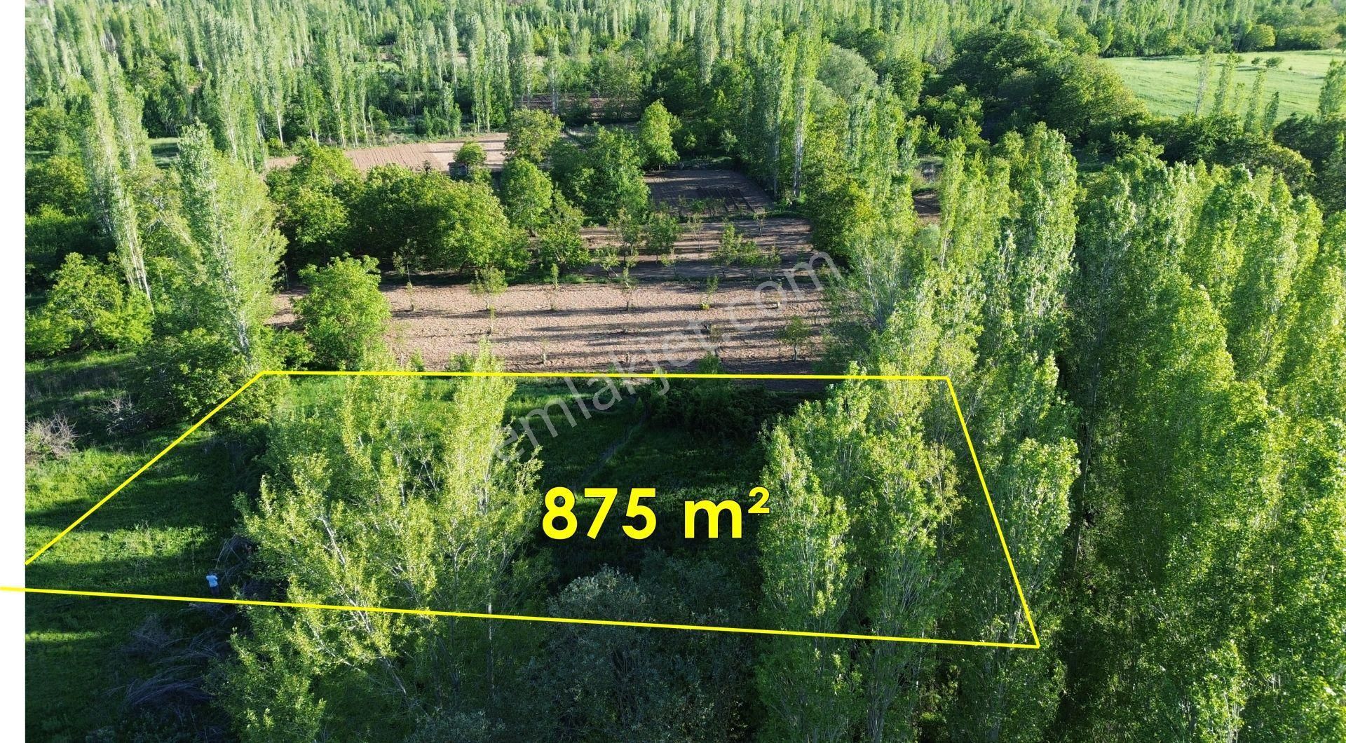 Isparta Şarkikaraağaç Fele De 875 M2 Müstakil Tapulu Bahçe