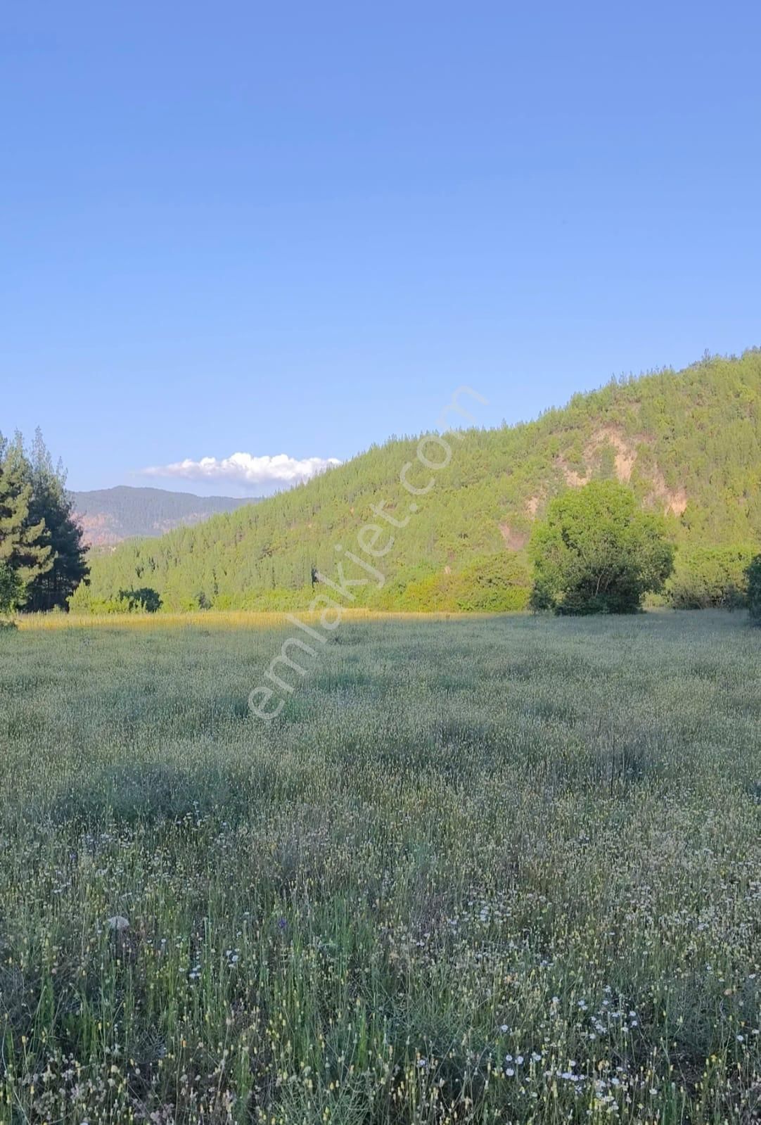 Asya Evim Emlaktan Isparta Eğirdir De Satılık Fırsat Tarla (aşağıgökdere)