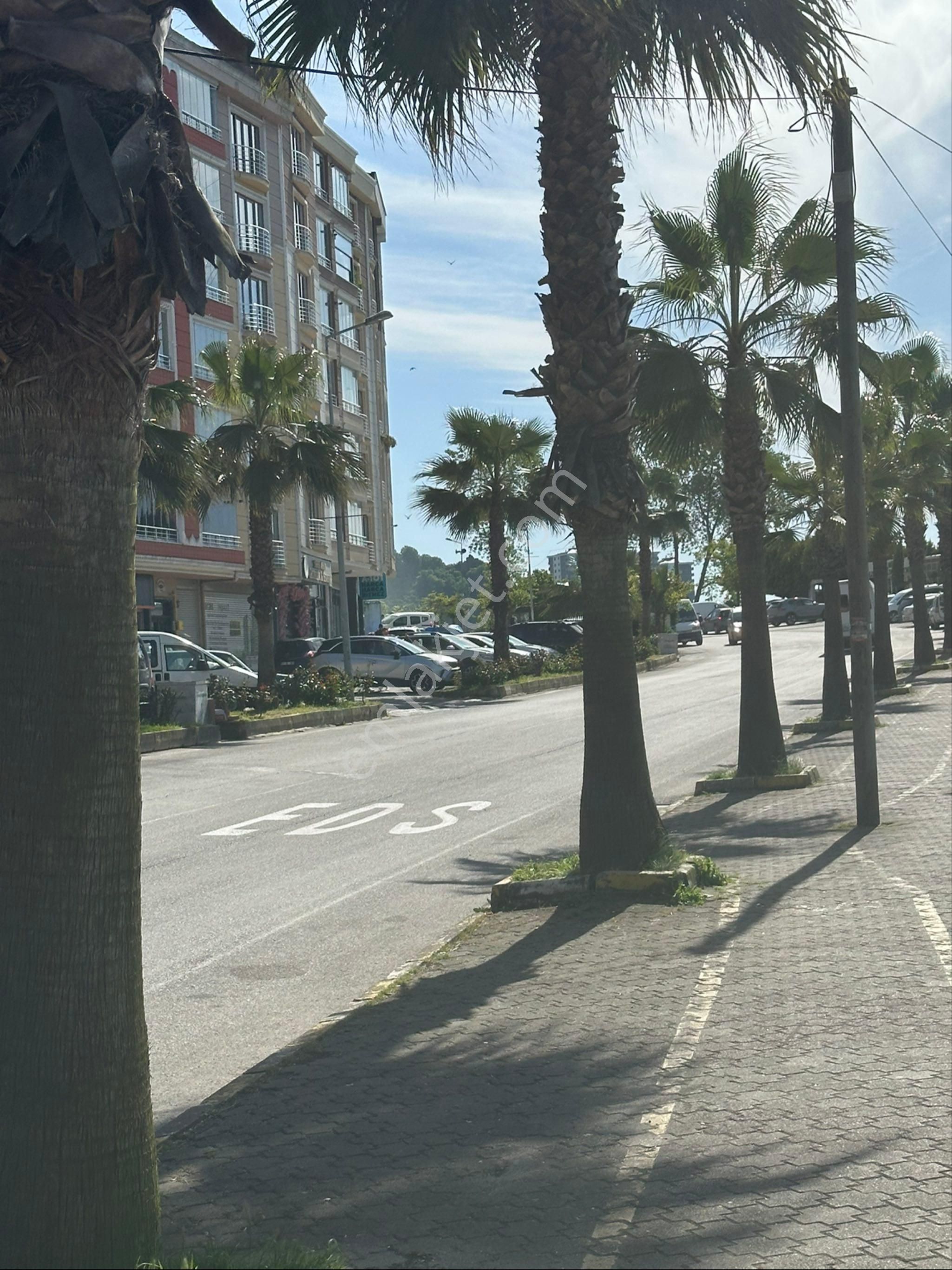 Tirebolu Plajda Deniz Ve Doğanın Birleştiği Yerde Süper Lokasyonda Satılık Daire